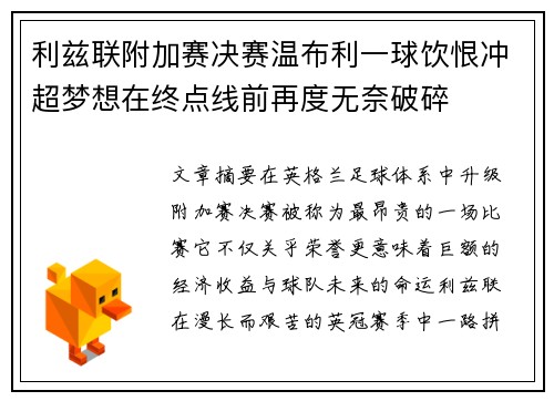 利兹联附加赛决赛温布利一球饮恨冲超梦想在终点线前再度无奈破碎